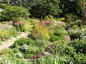 Karl Foerster Garten Potsdam Bornim Foto Brandt